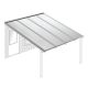 Polycarbonaat kanaalplaten dak transparant compleet, aan muur, breedte tot 4 m x diepte tot 4 m